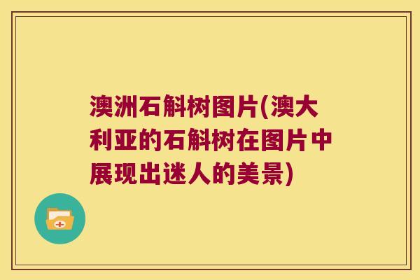 澳洲石斛树图片(澳大利亚的石斛树在图片中展现出迷人的美景)