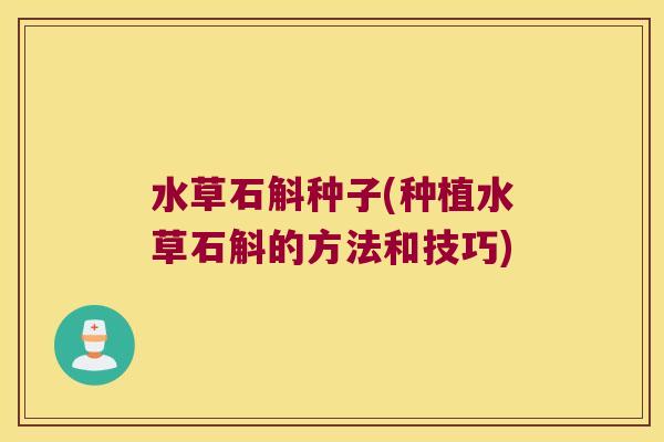 水草石斛种子(种植水草石斛的方法和技巧)