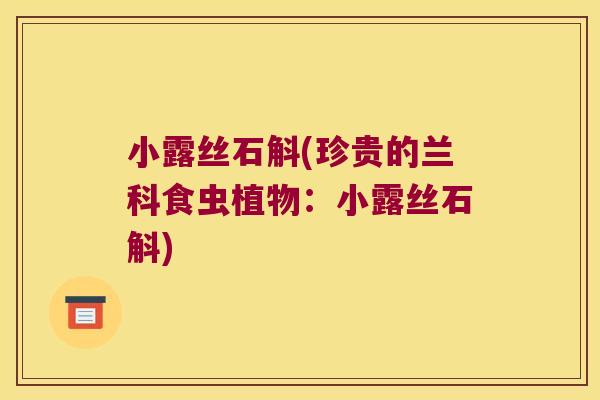 小露丝石斛(珍贵的兰科食虫植物：小露丝石斛)