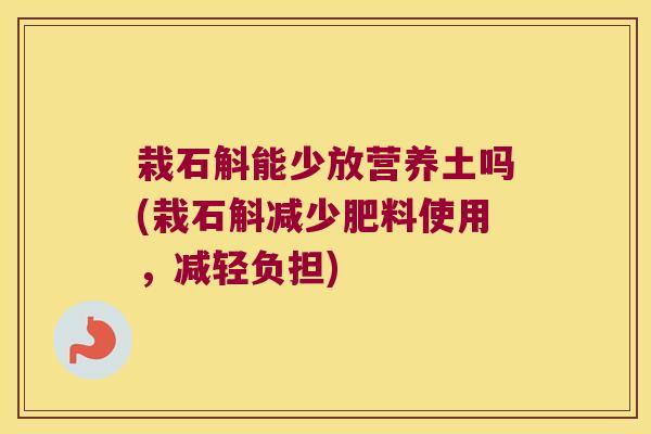 栽石斛能少放营养土吗(栽石斛减少肥料使用，减轻负担)