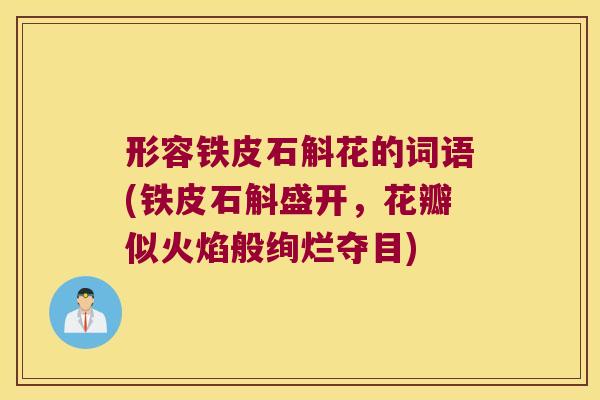 形容铁皮石斛花的词语(铁皮石斛盛开，花瓣似火焰般绚烂夺目)
