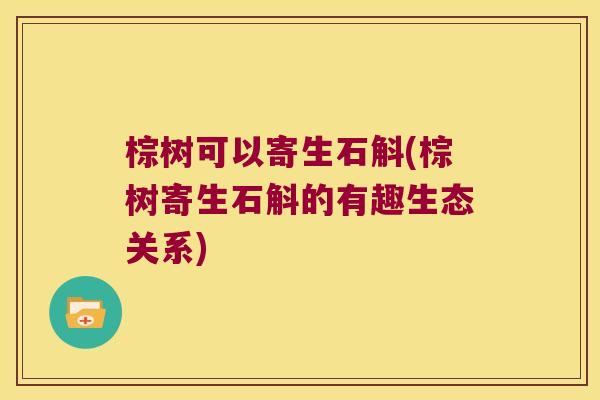 棕树可以寄生石斛(棕树寄生石斛的有趣生态关系)
