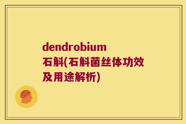 dendrobium石斛(石斛菌丝体功效及用途解析)