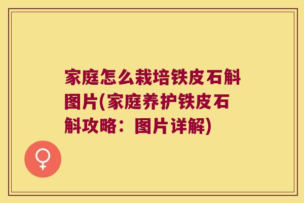 家庭怎么栽培铁皮石斛图片(家庭养护铁皮石斛攻略：图片详解)