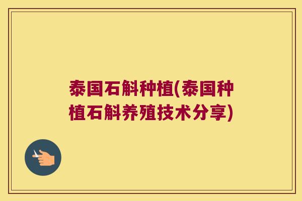 泰国石斛种植(泰国种植石斛养殖技术分享)
