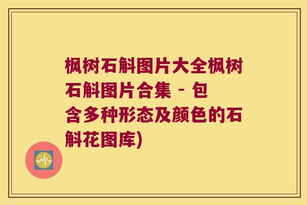 枫树石斛图片大全枫树石斛图片合集 - 包含多种形态及颜色的石斛花图库)