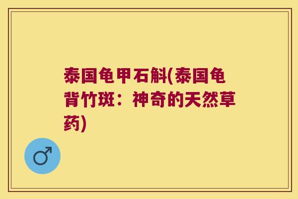 泰国龟甲石斛(泰国龟背竹斑：神奇的天然草药)