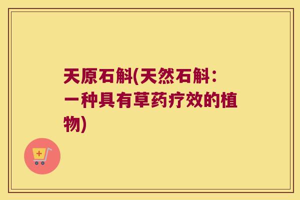 天原石斛(天然石斛：一种具有草药疗效的植物)