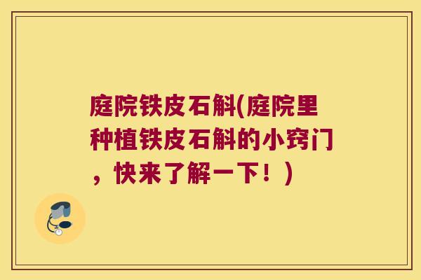 庭院铁皮石斛(庭院里种植铁皮石斛的小窍门,快来了解一下!) 庭院铁皮石斛(庭院里种植铁皮石斛的小窍门,快来了解一下!)