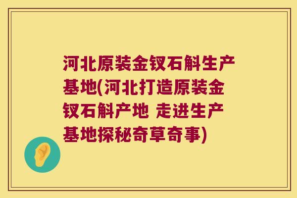 河北原装金钗石斛生产基地(河北打造原装金钗石斛产地 走进生产基地探秘奇草奇事)