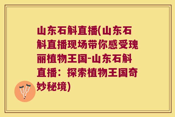 山东石斛直播(山东石斛直播现场带你感受瑰丽植物王国-山东石斛直播：探索植物王国奇妙秘境)