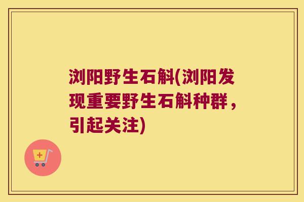 浏阳野生石斛(浏阳发现重要野生石斛种群，引起关注)