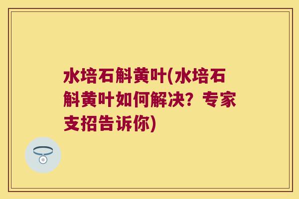 水培石斛黄叶(水培石斛黄叶如何解决？专家支招告诉你)