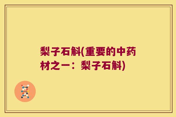 梨子石斛(重要的中药材之一：梨子石斛)
