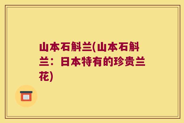 山本石斛兰(山本石斛兰:日本特有的珍贵兰花) 山本石斛兰(山本石斛兰:日本特有的珍贵兰花)