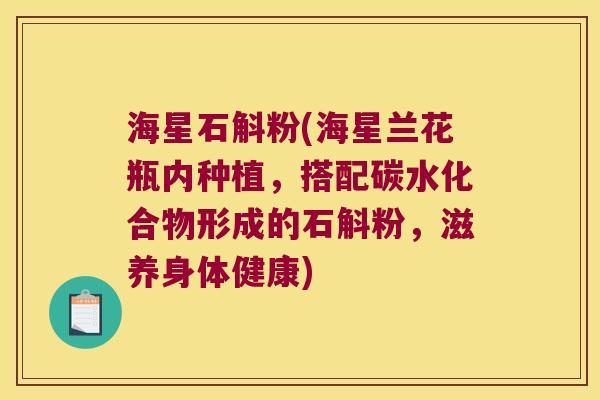 海星石斛粉(海星兰花瓶内种植，搭配碳水化合物形成的石斛粉，滋养身体健康)
