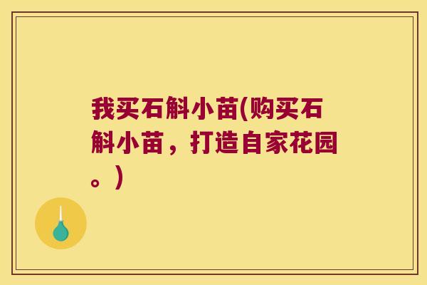 我买石斛小苗(购买石斛小苗，打造自家花园。)