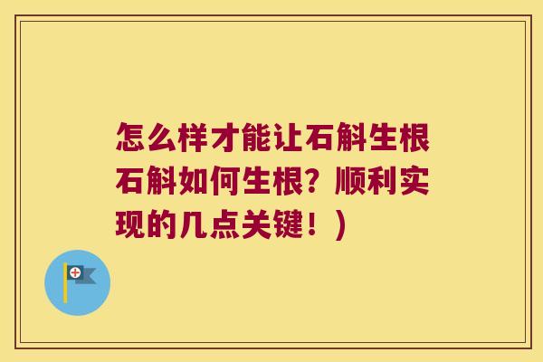 怎么样才能让石斛生根石斛如何生根？顺利实现的几点关键！)
