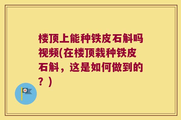 楼顶上能种铁皮石斛吗视频(在楼顶栽种铁皮石斛，这是如何做到的？)