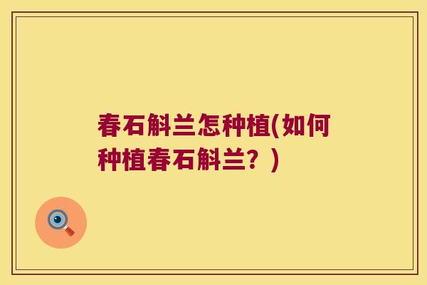 春石斛兰怎种植(如何种植春石斛兰？)