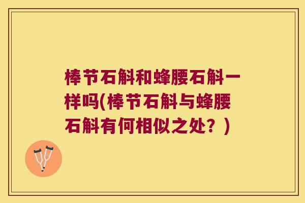棒节石斛和蜂腰石斛一样吗(棒节石斛与蜂腰石斛有何相似之处？)