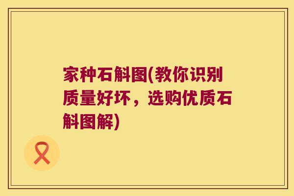 家种石斛图(教你识别质量好坏，选购优质石斛图解)