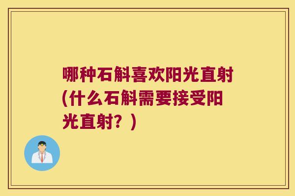 哪种石斛喜欢阳光直射(什么石斛需要接受阳光直射？)