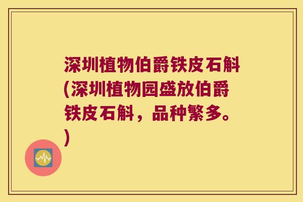 深圳植物伯爵铁皮石斛(深圳植物园盛放伯爵铁皮石斛，品种繁多。)