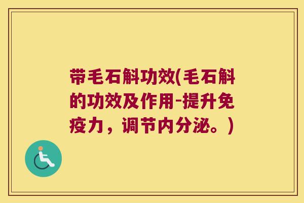带毛石斛功效(毛石斛的功效及作用-提升力，调节。)