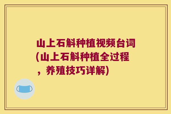 山上石斛种植视频台词(山上石斛种植全过程，养殖技巧详解)
