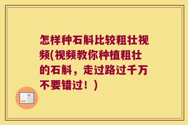 怎样种石斛比较粗壮视频(视频教你种植粗壮的石斛，走过路过千万不要错过！)