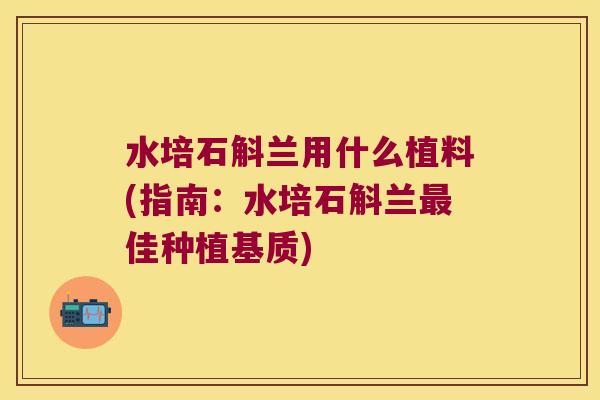水培石斛兰用什么植料(指南：水培石斛兰最佳种植基质)