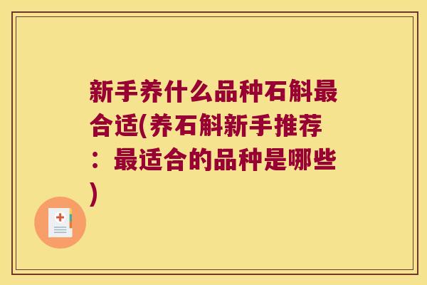 新手养什么品种石斛最合适(养石斛新手推荐：最适合的品种是哪些)