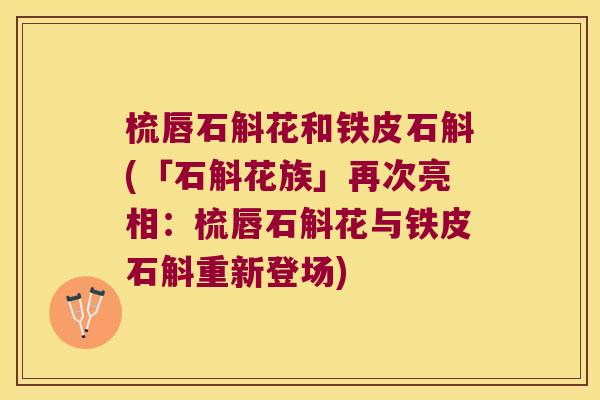 梳唇石斛花和铁皮石斛(「石斛花族」再次亮相：梳唇石斛花与铁皮石斛重新登场)