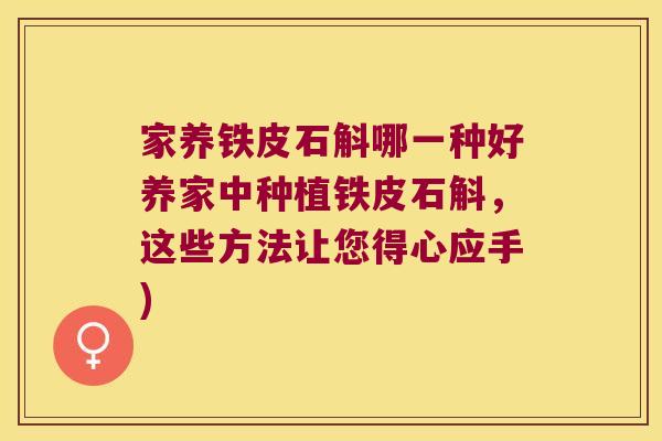 家养铁皮石斛哪一种好养家中种植铁皮石斛，这些方法让您得心应手)