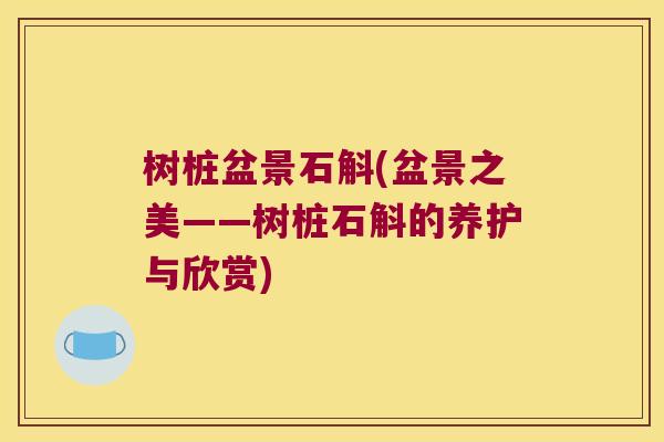 树桩盆景石斛(盆景之美——树桩石斛的养护与欣赏)