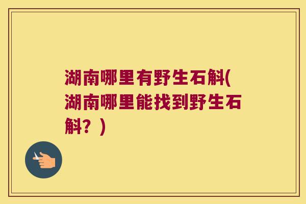 湖南哪里有野生石斛(湖南哪里能找到野生石斛？)