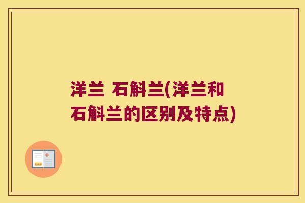 洋兰 石斛兰(洋兰和石斛兰的区别及特点)