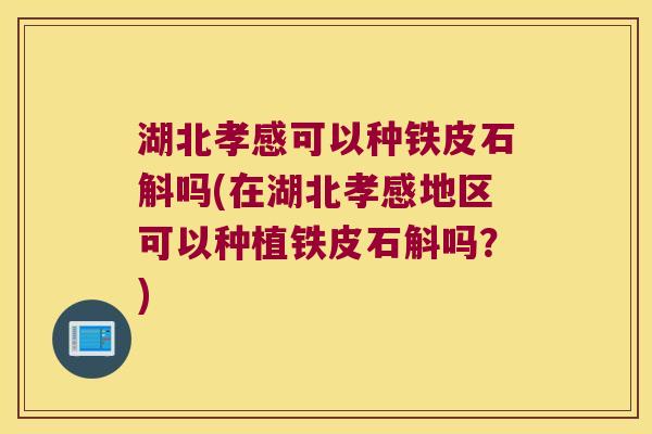 湖北孝感可以种铁皮石斛吗(在湖北孝感地区可以种植铁皮石斛吗？)