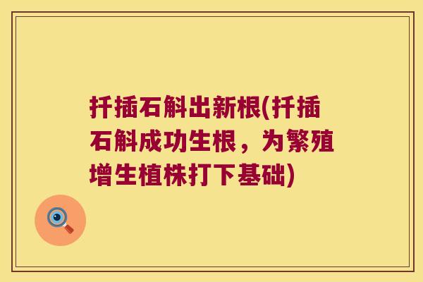 扦插石斛出新根(扦插石斛成功生根,为繁殖增生植株打下基础) 扦插石斛出新根(扦插石斛成功生根,为繁殖增生植株打下基础)