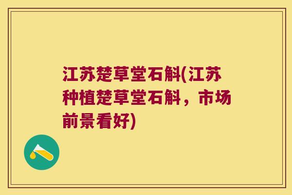 江苏楚草堂石斛(江苏种植楚草堂石斛，市场前景看好)