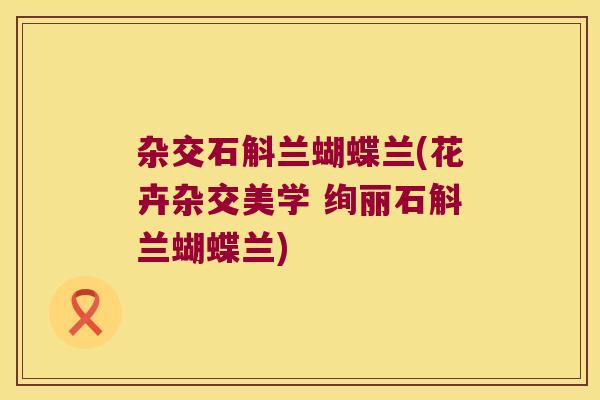 杂交石斛兰蝴蝶兰(花卉杂交美学 绚丽石斛兰蝴蝶兰)