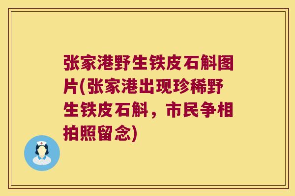 张家港野生铁皮石斛图片(张家港出现珍稀野生铁皮石斛，市民争相拍照留念)