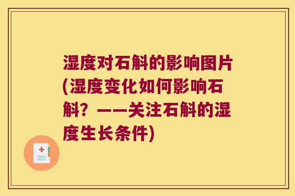 湿度对石斛的影响图片(湿度变化如何影响石斛？——关注石斛的湿度生长条件)