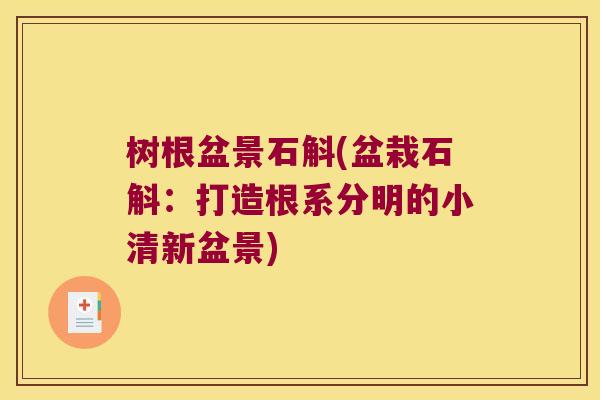 树根盆景石斛(盆栽石斛：打造根系分明的小清新盆景)