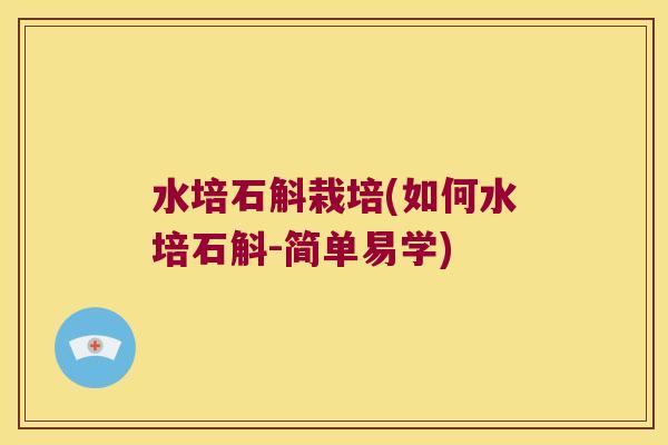 水培石斛栽培(如何水培石斛-简单易学)