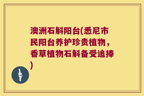 澳洲石斛阳台(悉尼市民阳台养护珍贵植物，香草植物石斛备受追捧)