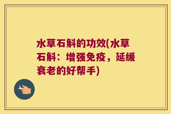 水草石斛的功效(水草石斛：增强免疫，延缓衰老的好帮手)