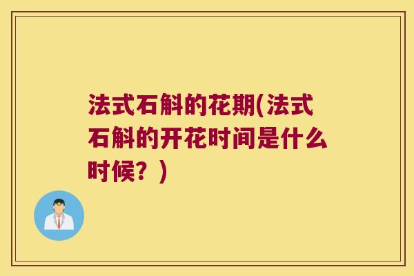 法式石斛的花期(法式石斛的开花时间是什么时候？)