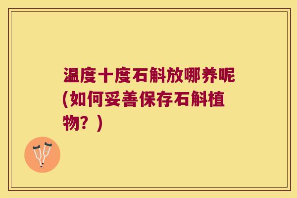 温度十度石斛放哪养呢(如何妥善保存石斛植物？)